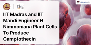 IIT Madras and IIT Mandi Engineer N Nimmoniana Plant Cells To Produce Camptothecin, an Anti-Cancer Drug
